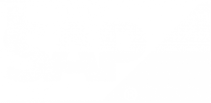 SAP - Logo - White